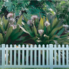 KMT301 straight picket Fence