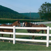 KMT401 Ranch 3 Rail Vinyl Fence