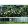 KMTG002-Straight Picket Fence